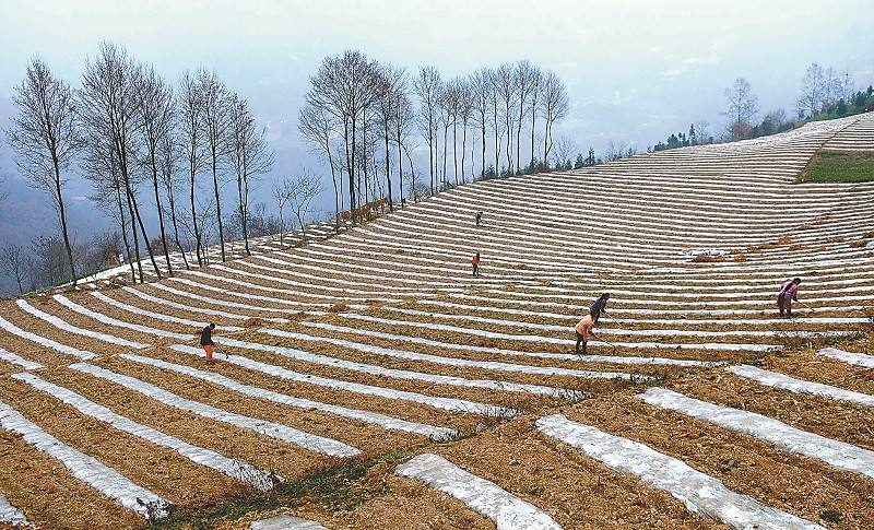人生就是博-尊龙凯时中国官网